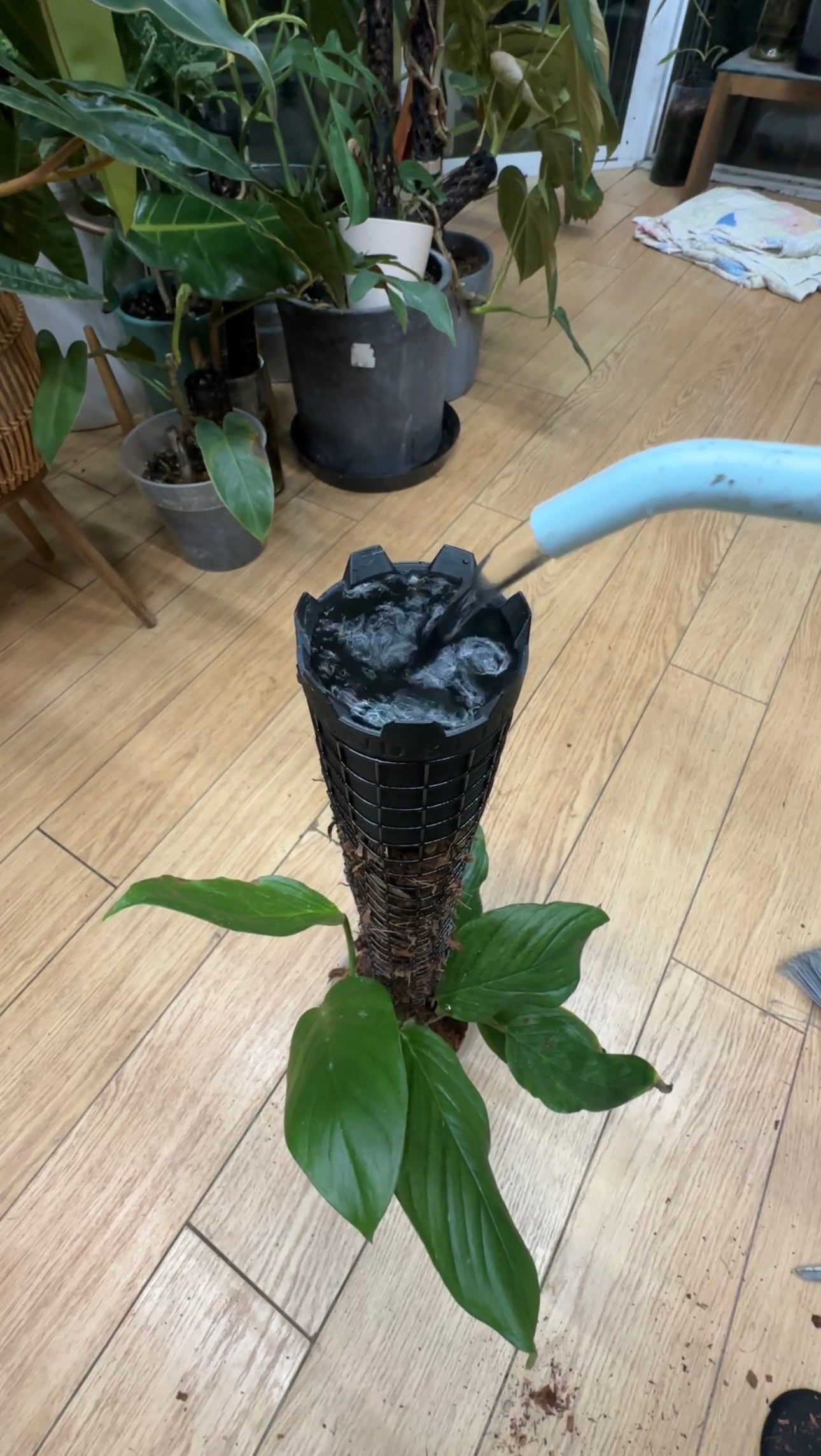 DIY Self-Watering Moss Pole Kit (2-Pack)