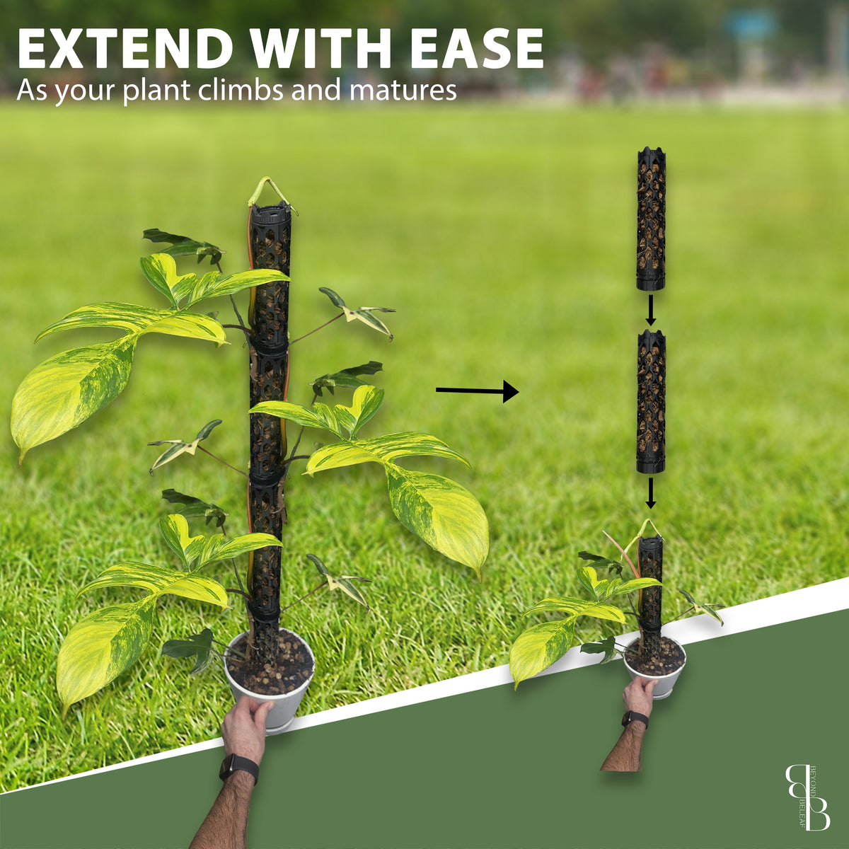 Extendable stackable modular moss pole extension for climbing houseplants - Monstera, Philodendron, Florida Beauty