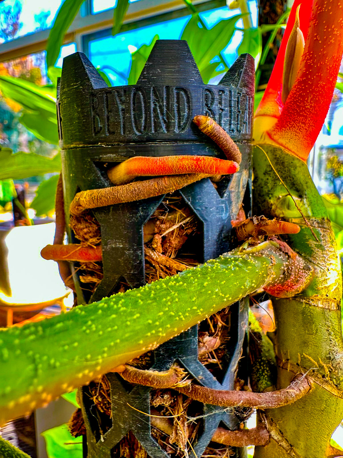 How Mycorrhiza and Coco Chip Moss Poles Boost Plant Growth