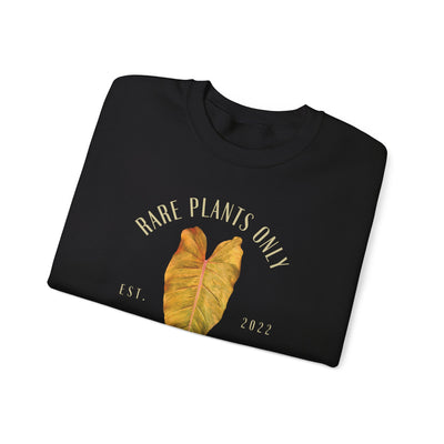 P. Orange Marmalade - Crewneck