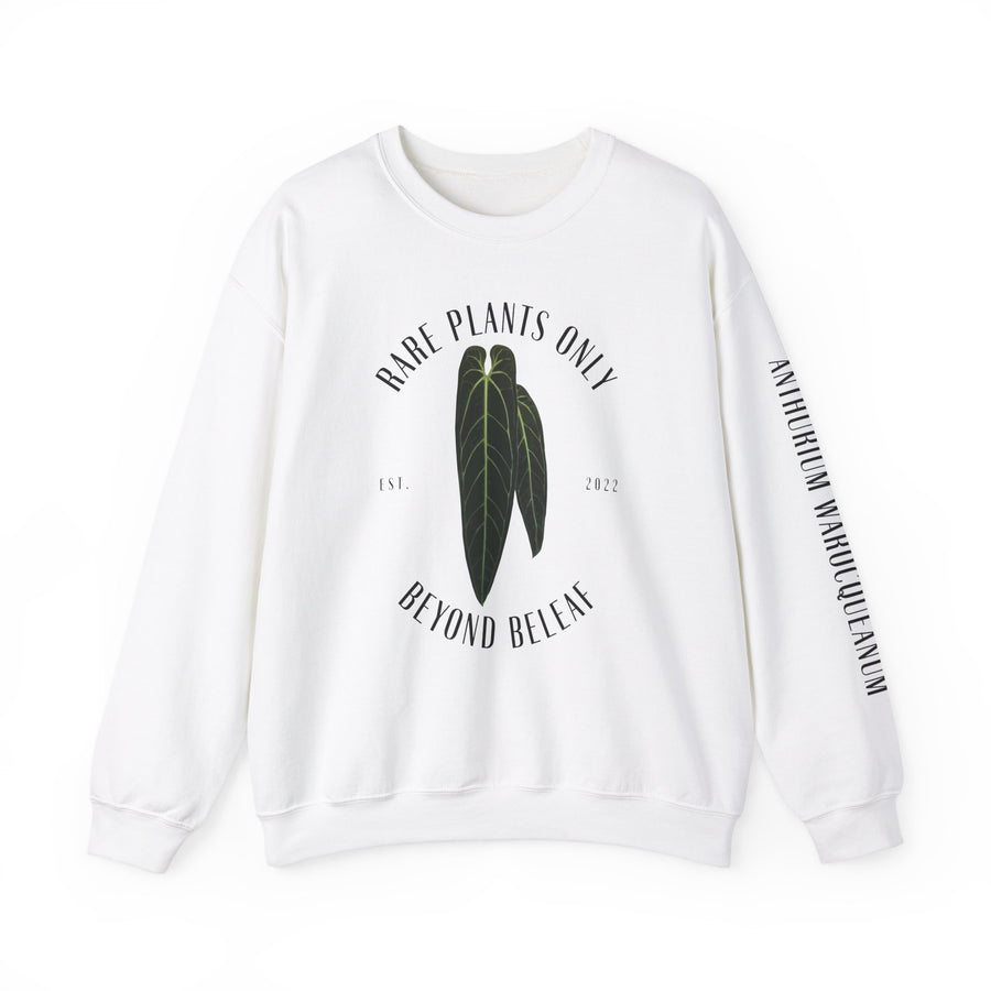 A. Waroqueanum - Crewneck