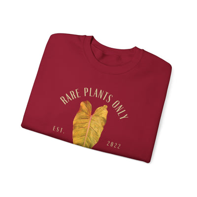 P. Orange Marmalade - Crewneck