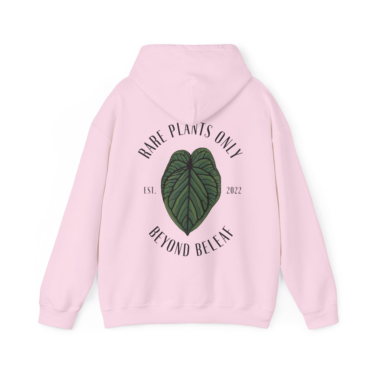 A. Magnificum - Hoodie