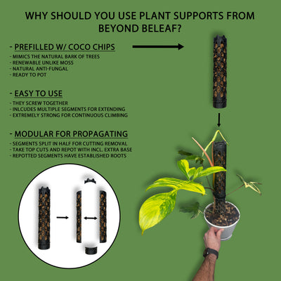 Professional Plant Support Kit | Moss Pole Alternative for Indoor Plants