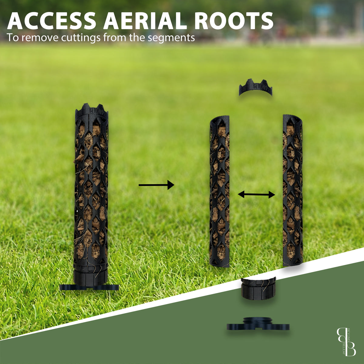 Access aerial roots through modular moss pole design - premium extendable plant stake for propagation of Monstera and Philodendron