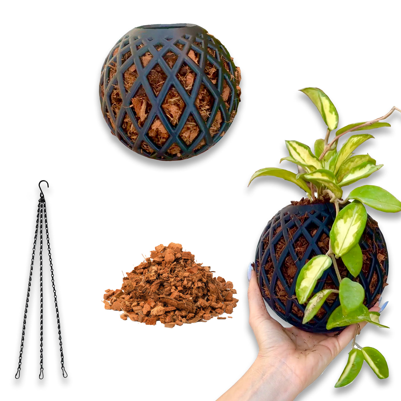 Large Kokedama Ball kit 1-pack with coco chips, wire supports, and a handheld plant support for large indoor plants.