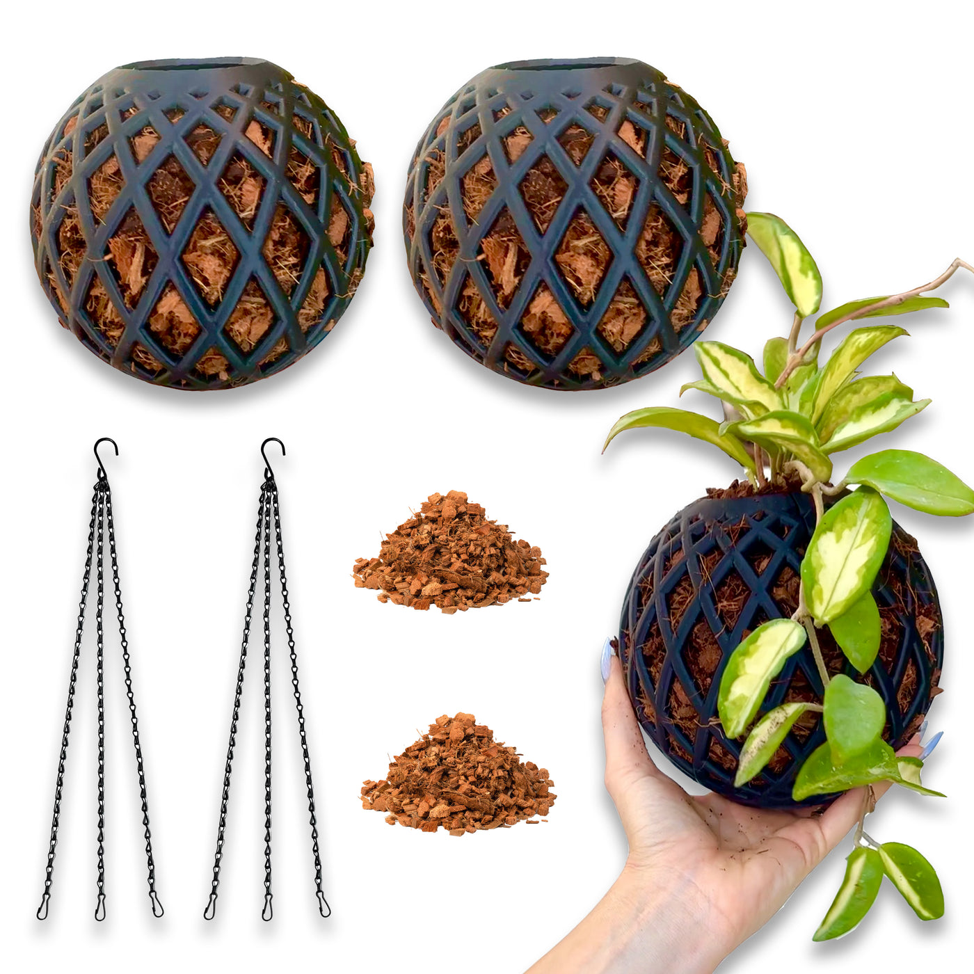 Large Kokedama Ball kit 2-pack with coco chips, wire supports, and handheld plant supports for large indoor plants.