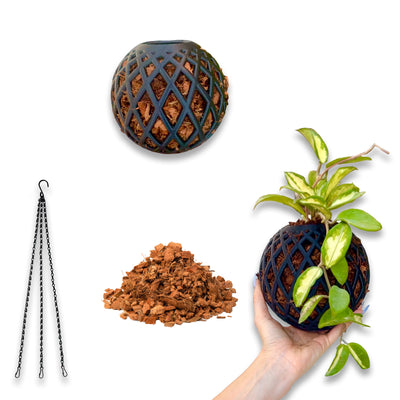 Medium Kokedama Ball kit 1-pack with coco chips, wire supports, and a handheld plant support for medium-sized indoor plants.