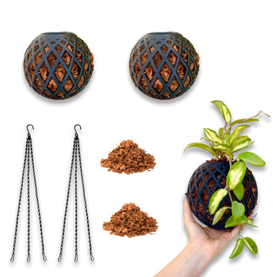 Small Kokedama Ball kit 2-pack with coco chips, wire supports, and handheld plant supports for small indoor plants.