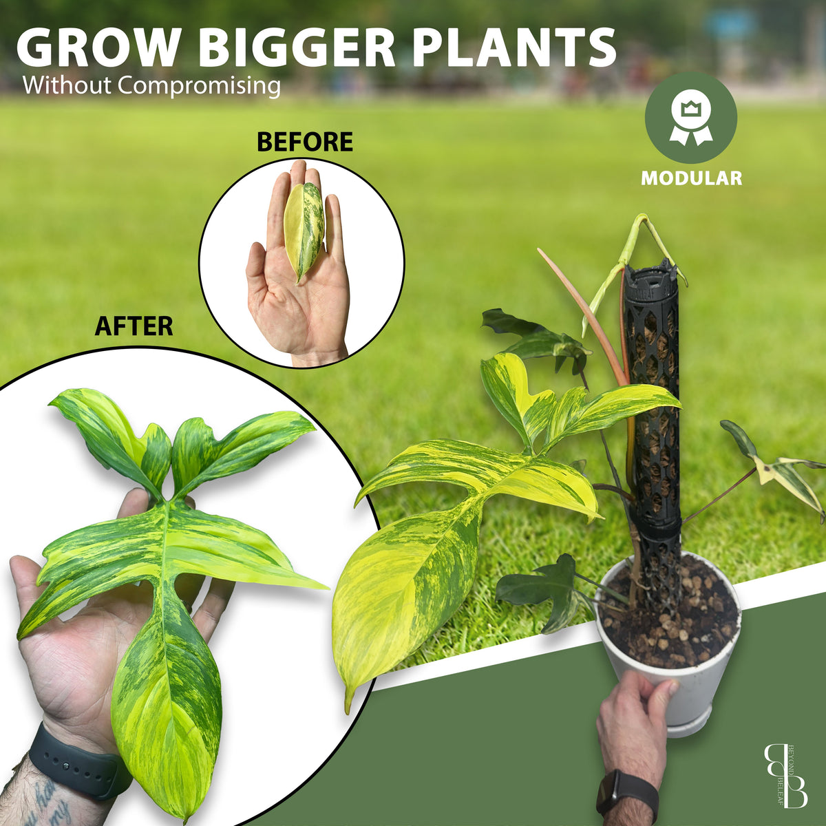 Stackable extendable moss pole supporting vertical growth - modular plant stakes for Monstera, Philodendron, Florida Beauty