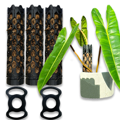 Large professional plant support with coco chips, designed for self-watering tall indoor plants like Monstera and Philodendron.