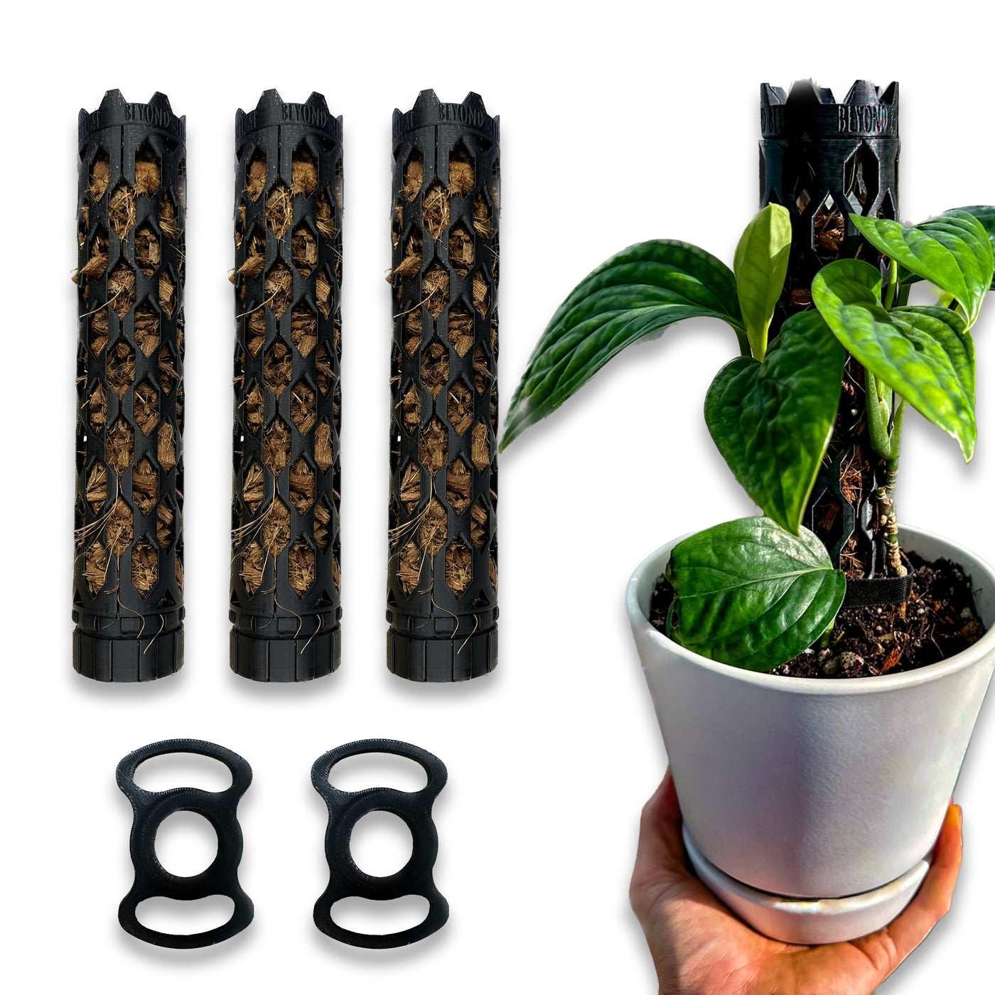 Small professional plant support with coco chips, perfect for self-watering Monstera and Philodendron plants, durable and extendable.