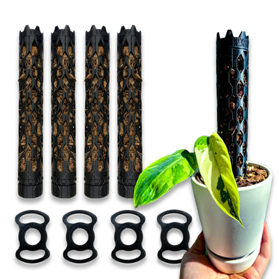 Extra small professional plant support with coco chips, self-watering system, and durable design for Monstera and small indoor plants.