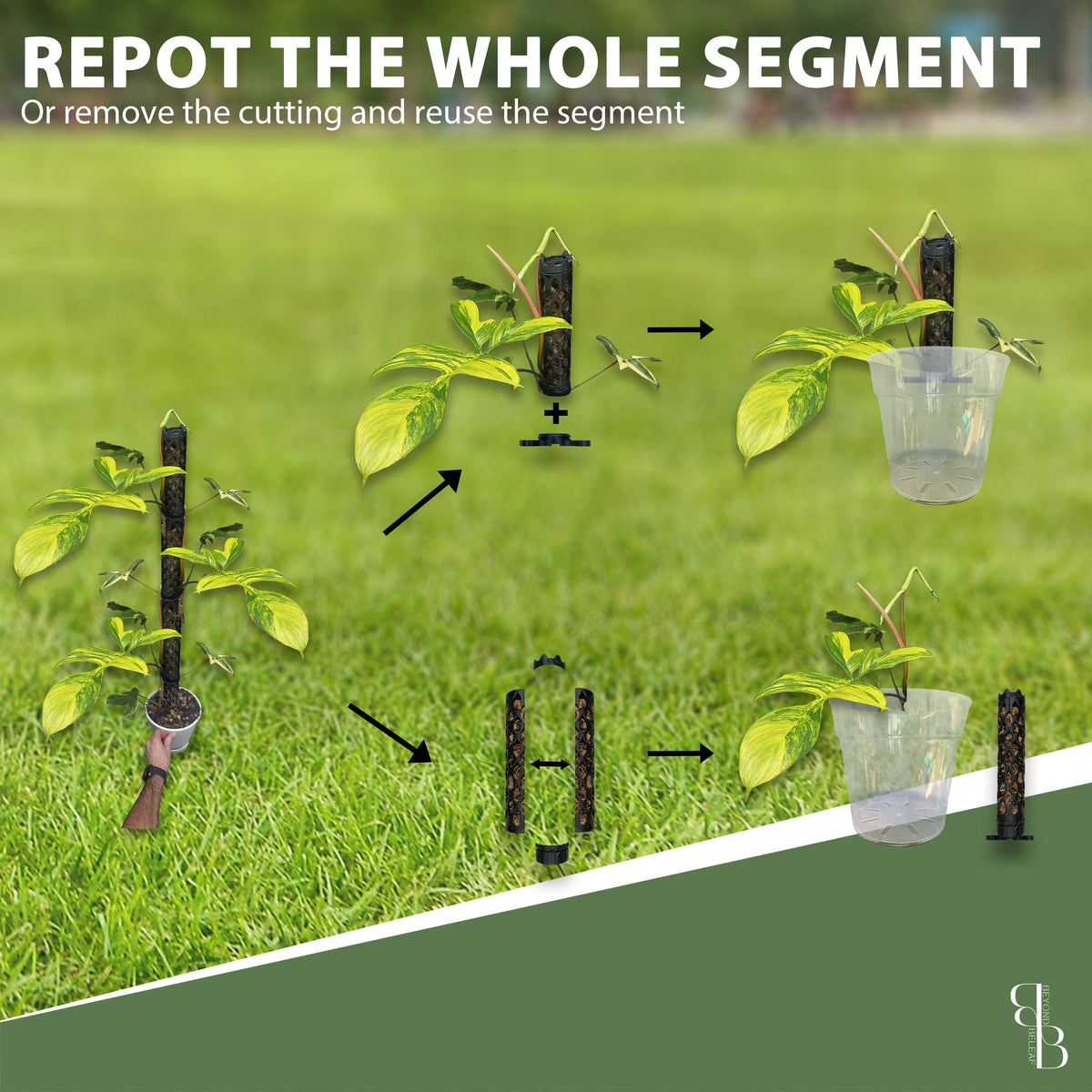 Reusable modular moss pole for repotting and propagation - extendable stackable plant support system for climbing plants