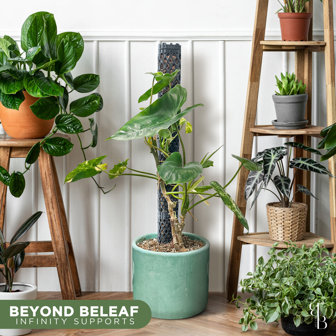 Square Plant Support Kit