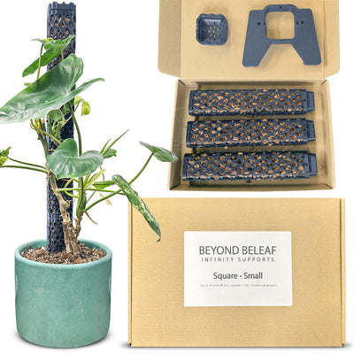 Square plant support kit packaged with coco chips, including three segments, base, and crown for climbing plants like Monstera.