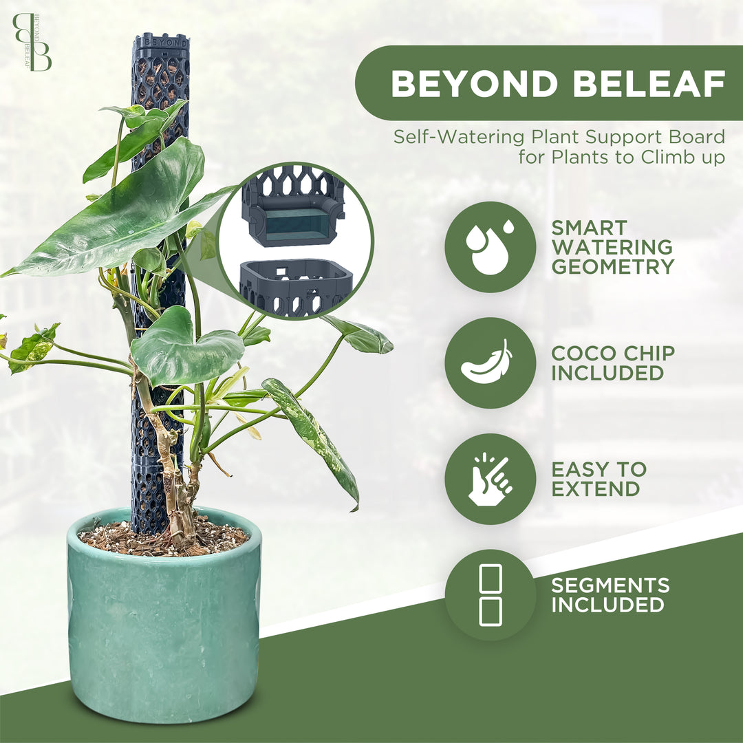 Square Plant Support Kit