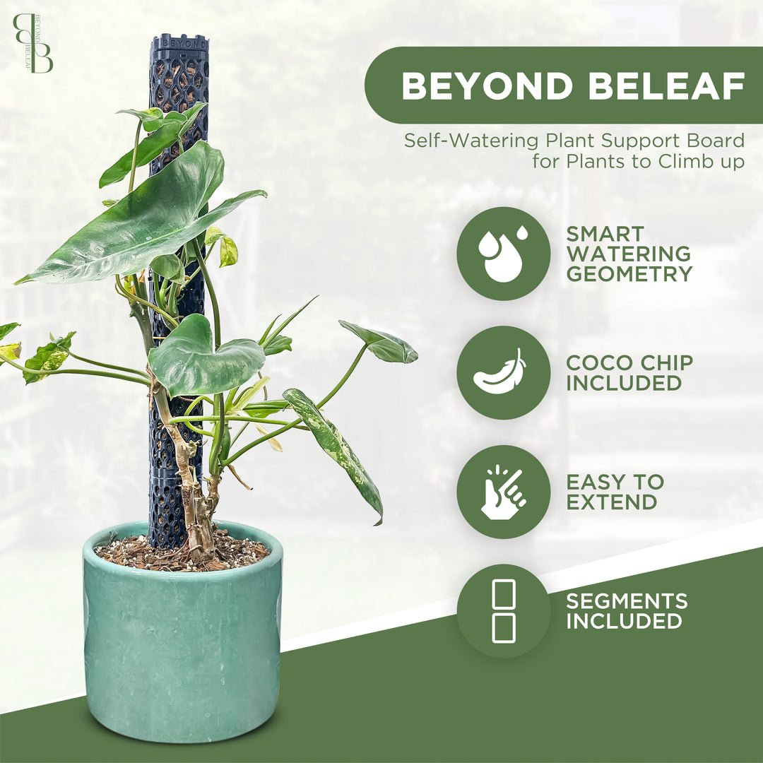 Square Plant Support Kit