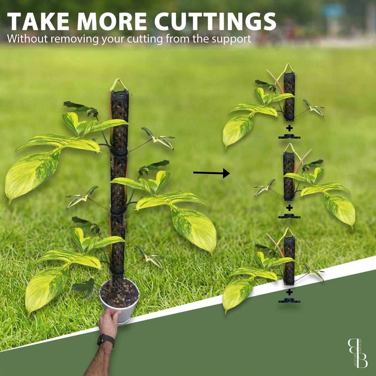 Propagation-friendly modular moss pole - take cuttings through split design without removing extendable plant support stake